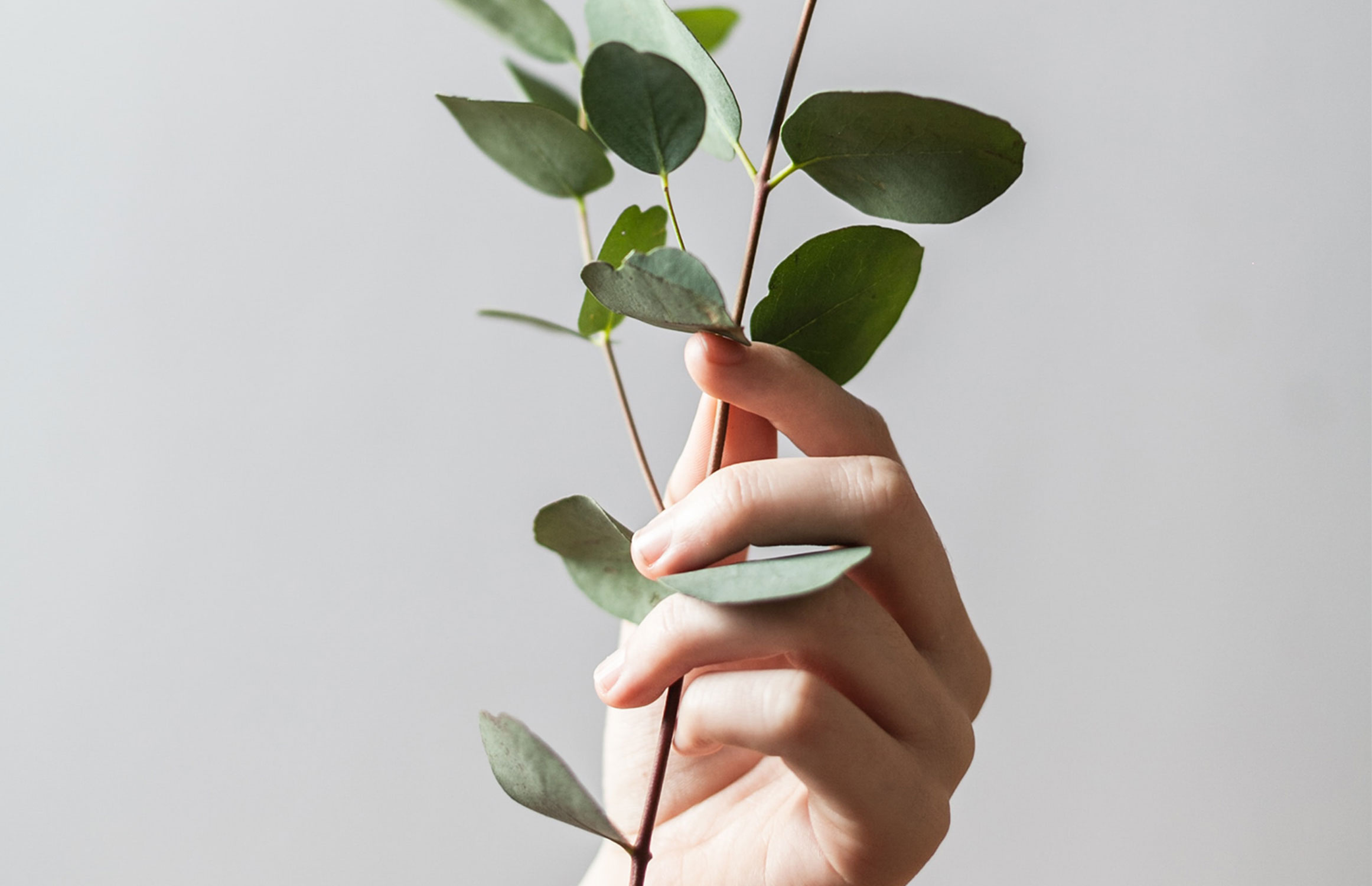 ホームページリニューアルのお知らせ